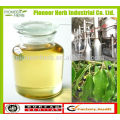 China supplier camphor essential oil